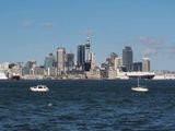 Auckland Morning