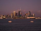 Auckland Daybreak 1