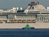 CORAL PRINCESS 5