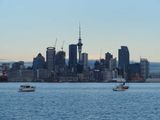 Auckland  8:00 AM