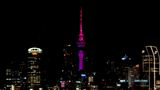Sky Tower Pink and Purple Illumination