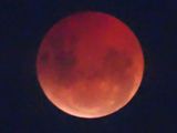 Moon Eclipse 1 March 14 2025