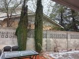 Last snow of the season (hopefully!)