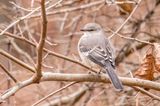 web-IMG_8140b-D.jpg