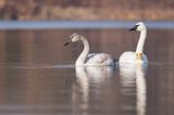 Web IMG_4322b-D.jpg