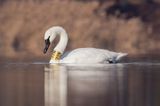 Web IMG_4398b-D.jpg