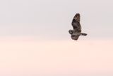 Web IMG_6499c-D.jpg