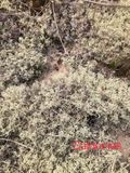 IMG_5039.jpeg