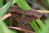 Shaded Broadbar