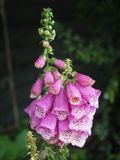 After the rain