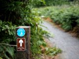 Greenway