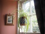 Cat proofing