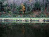 Reflections