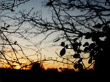 December sunset