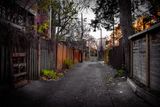 Dans une ruelle de Montral 