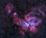 NGC 3293, 3324 + IC 2599 