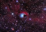 NGC 2626