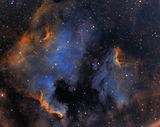 NGC 7000 + IC 5070