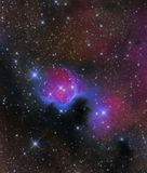IC 1274