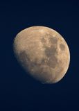 Mond 