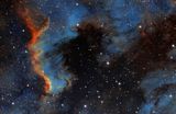 NGC 7000 