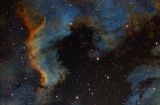 NGC 7000 