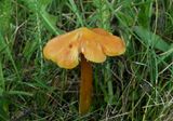 Gebochelde wasplaat