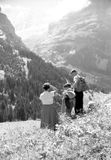 Swiss Alps c1958