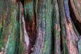 _DSC6301.jpg