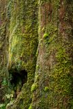 _DSC6304.jpg