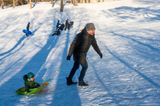 _DSC8283.jpg