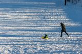 _DSC8432.jpg