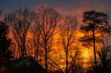 Winter Sunset