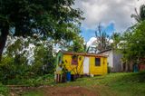 Little Yellow House