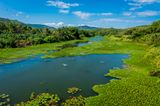Wag Water River