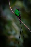 _DSC0267-Enhanced-NR.jpg