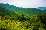 Blue Ridge VIII