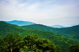 Blue Ridge VIII