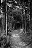_DSC0054.jpg