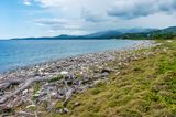 _DSC2685.jpg