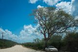 St Thomas Road II