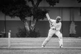 Cricket Study II