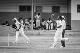 Cricket Study III