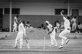 Cricket Study V