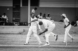 Cricket Study VIiI