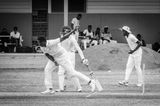Cricket Study X
