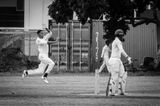 Cricket Study XI