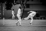 Cricket Study XV
