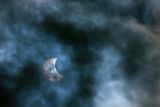 Solar Eclipse