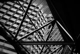 Lines